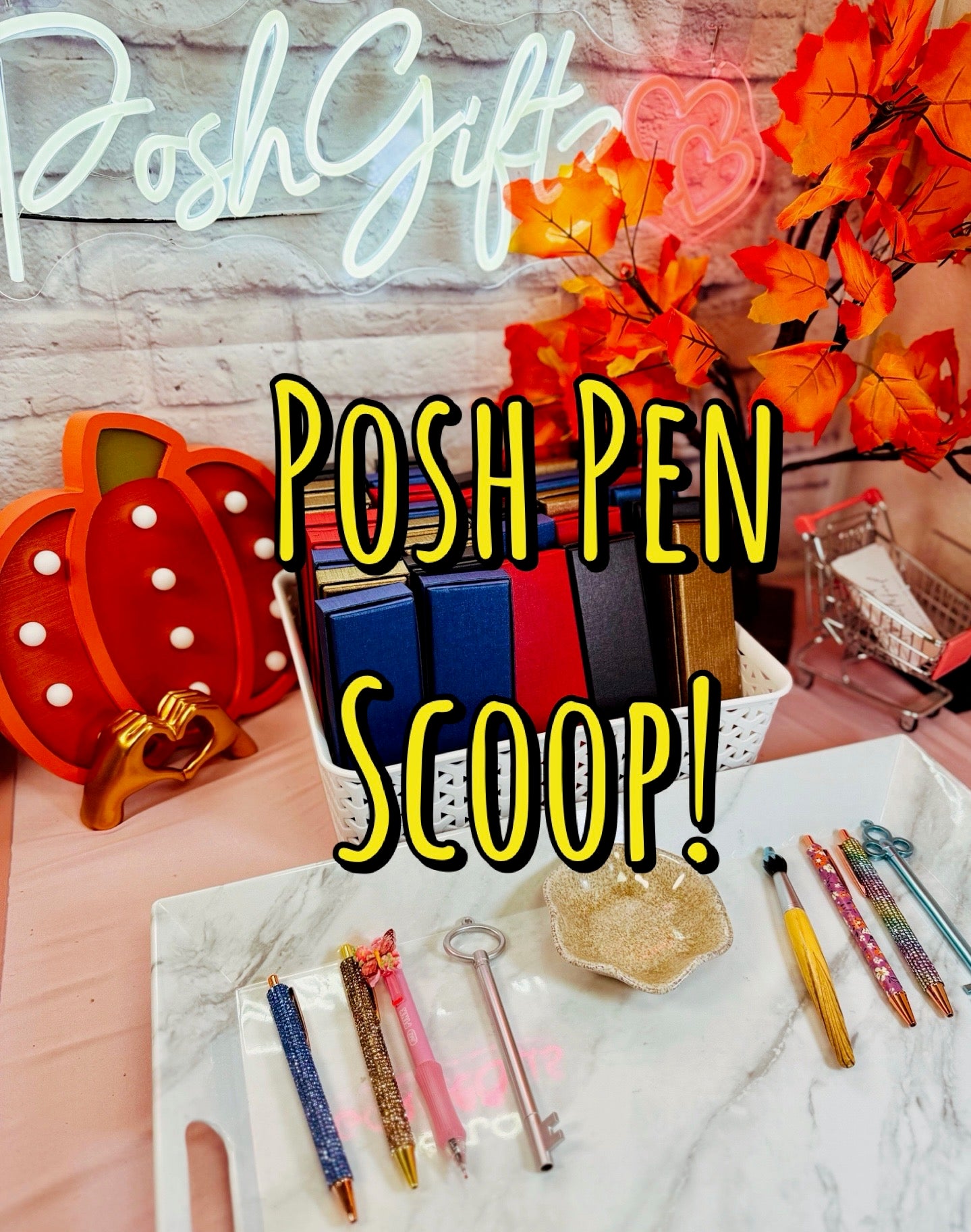 Posh Pen Mystery Boxes - 5 boxes